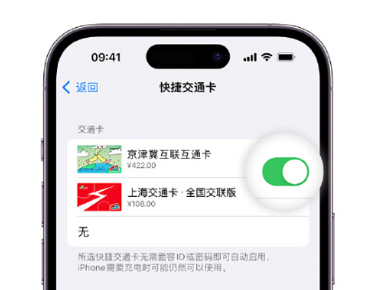 长宁apple维修点分享iPhone上更换Apple Pay快捷交通卡手绘卡面 