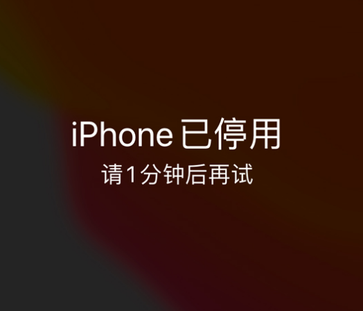 长宁苹果手机维修分享:iPhone 显示“不可用”或“已停用”怎么办？还能保留数据吗？ 