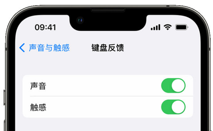 长宁苹果手机维修分享iPhone 14触感键盘使用方法 