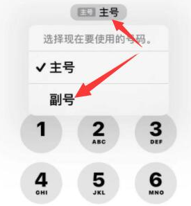 长宁苹果14维修店分享iPhone 14 Pro Max使用副卡打电话的方法 