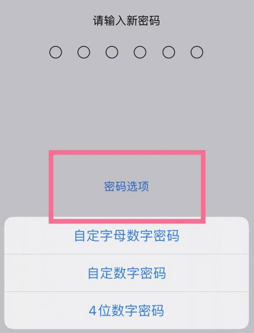 长宁苹果14维修分享iPhone 14plus设置密码的方法 